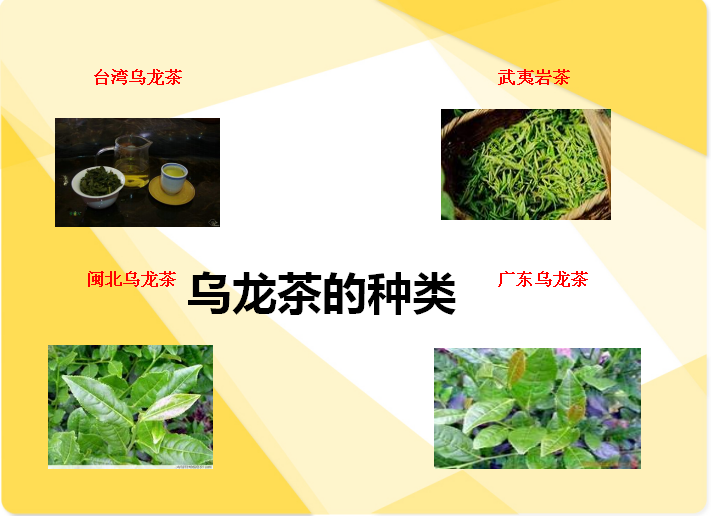 烏龍茶的種類